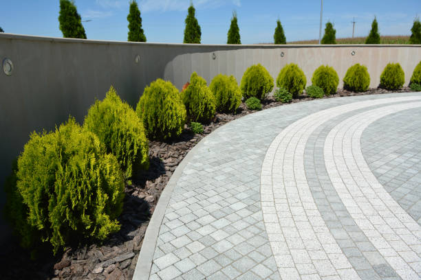 Best Residential Paver Driveway  in Marshall, IL